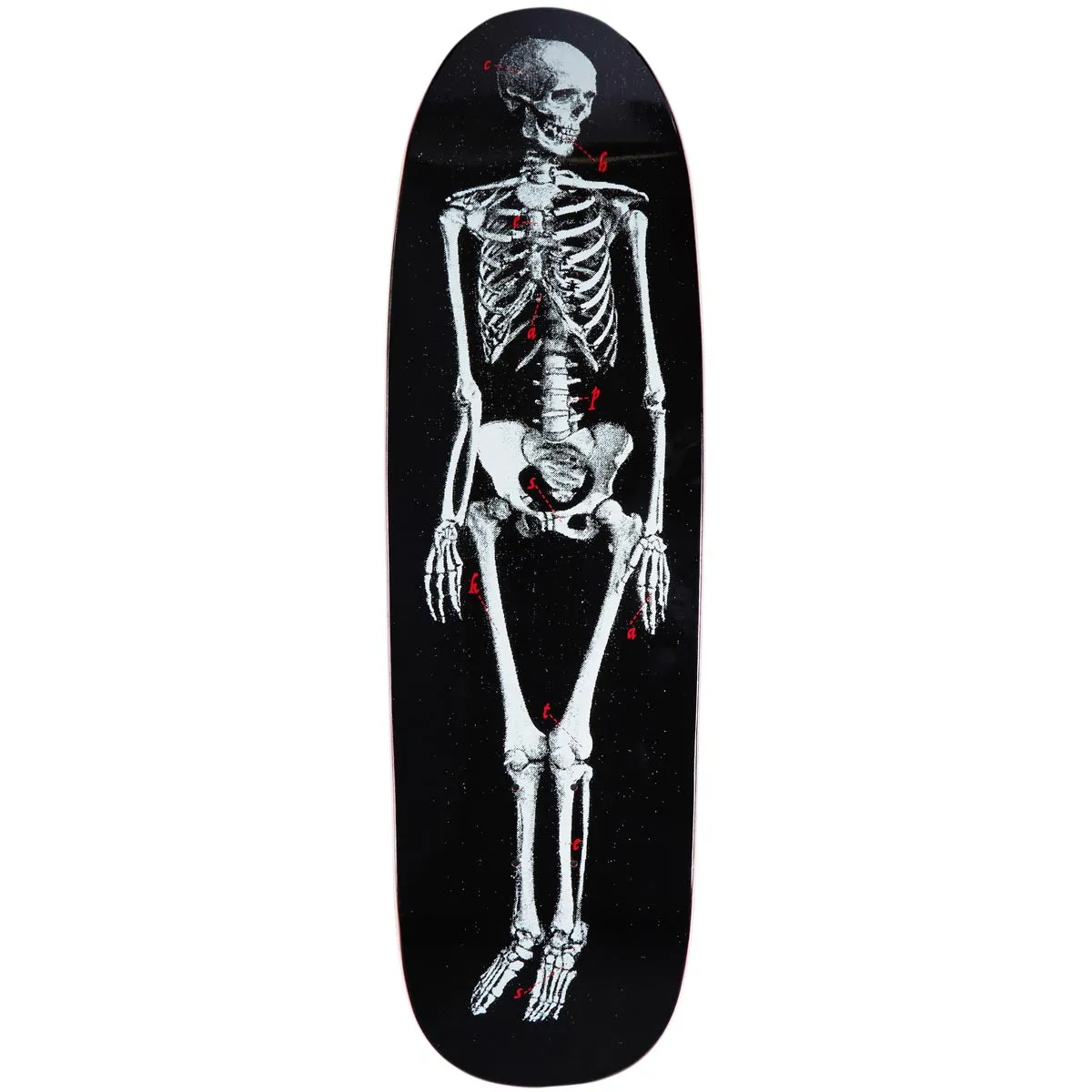 CCS Skeleton Shp1 Shaped Skateboard Deck - Black - 9.125